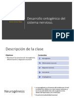 CLASE 4 NEUROBIOLOGIA Desarrollo Ontogénico Del Sistema Nervioso