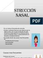 06 - Obstruccion Nasal