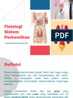 Fungsi Sistem Perkemihan