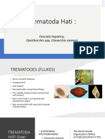 9.1 TH - Fasciola Hepatica