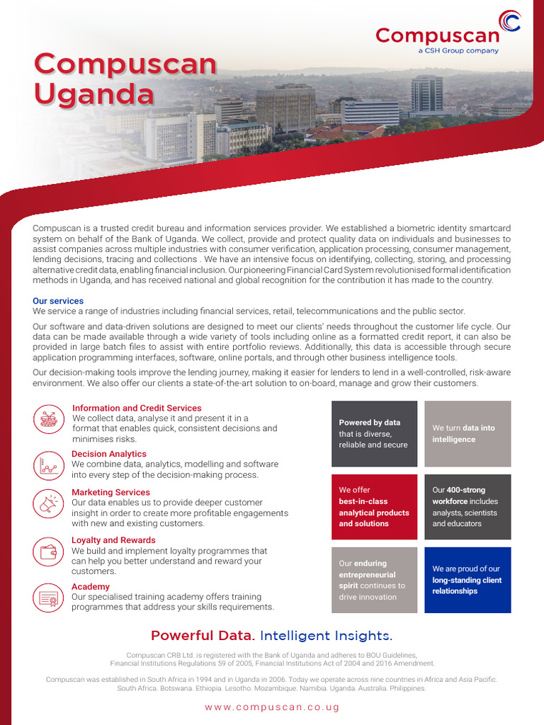 Credit Solutions for Businesses | PDF | Analytics | Private Sector