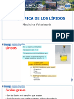 Bioquímica de Lípidos