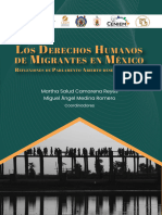 Los Derechos Humanos de Migrantes en Mexico