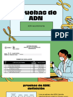 Pruebas de ADN _3G