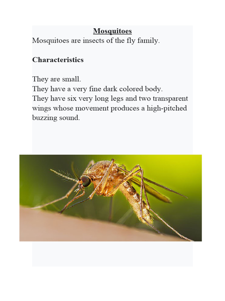 Mosquitoes Are Deadlyshould We Kill Them All A Comprehensive Guide To Mosquito Control - tqlcoud