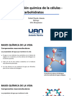 Clase 7. Composición Química - Carbohidrato