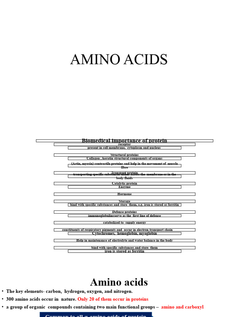 Amino Acids Classification Notes STUDENTS PDF Amino Acid Beta Sheet