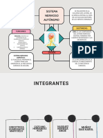 Organizador Grafico Proyecto Creativo Multicolor