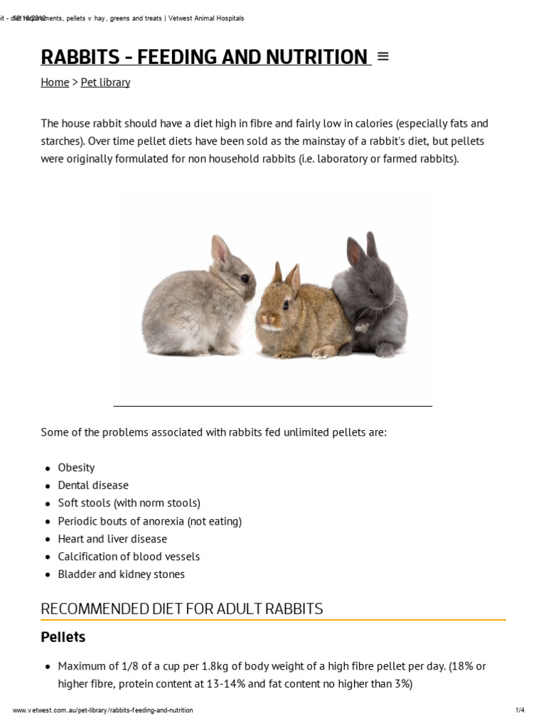 Feeding Your Rabbit Diet Requirements, Pellets V Hay, Greens and