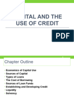 Capital and Use of Credit - 2022