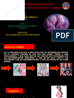 Sesion Siete Psicología Del Desarrollo 2023-1