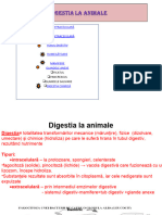 Digestia La Animale - REAL