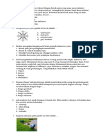 Soal Um Ips 2022