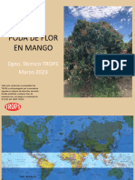 Poda Flor Del Mango 2023