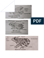 N.K. Ma'am Practical Drawings