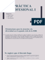 Práctica Profesional I (1) 222