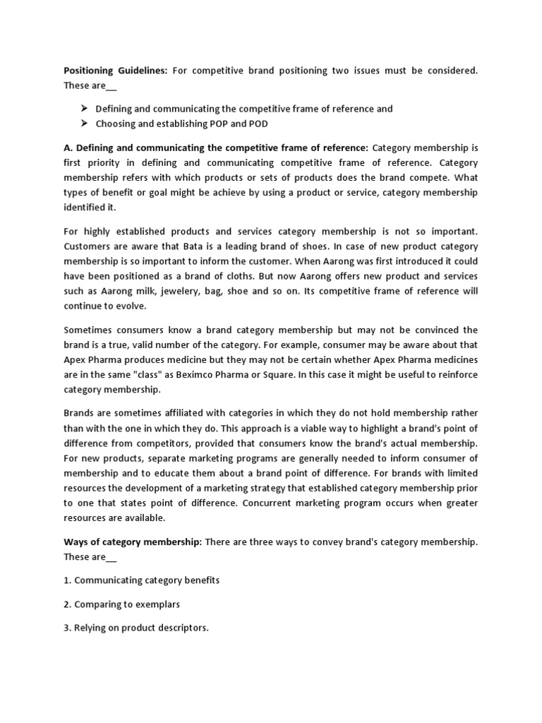 Positioning Guidelines PDF Brand Marketing