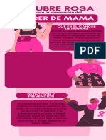 Infografía Mes de Prevención Del Cáncer de Mama Octubre Rosa Ilustrado Rosa