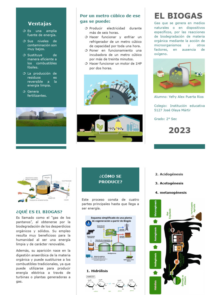 Biogas | PDF | Biogás | Tecnología energética