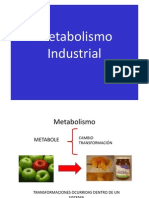Metabolismo Industrial