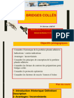 Bridges Colles FMDC