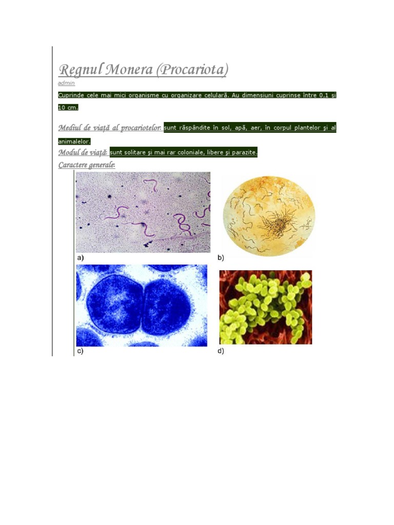 Regnul Monera | PDF