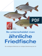 Blinker Booklet Friedfische Sicher Bestimmen