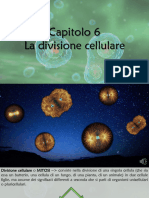 Capitolo 6 - La Divisione Cellulare