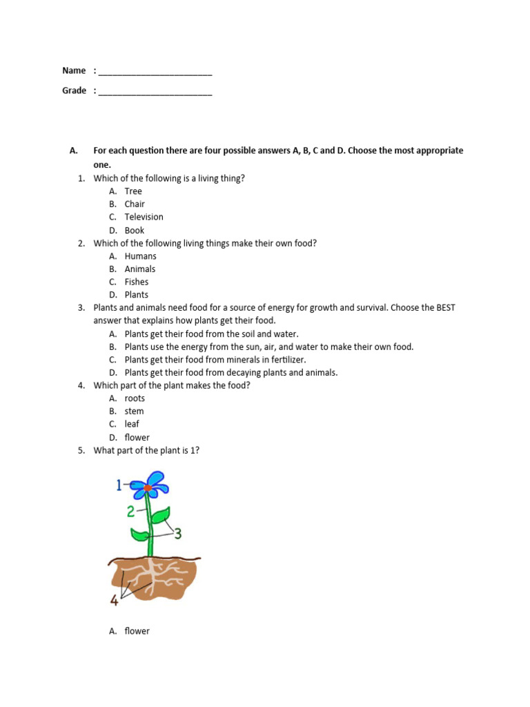 Plants Are Living Things PDF Plants Root