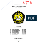 ACC Lapsem - Ovula Nistatin