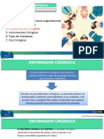 Aula 03 - ENFERMAGEM - CIRURGICA (Revisado HAAF) (Revisado Ana Gabriela)