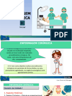 Aula 01 - ENFERMAGEM - CIRURGICA (Revisado HAAF) (Revisado Ana Gabriela)