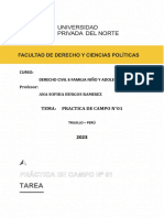 Práctica de Campo N.º 01.