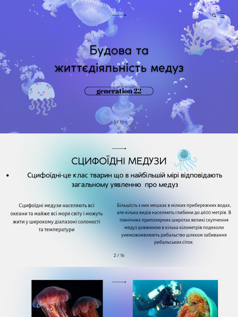 Медузи | PDF