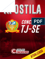 Apostila TJ-SE - Atualizada