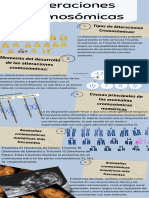 Infografía Clínica Fisioterapia Medicina Ilustrado Azul