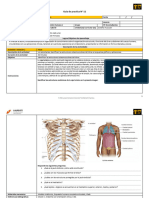 Guia Torax y Abdomen 2023