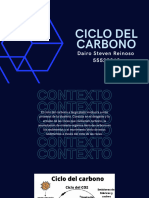 Ciclo Del Carbono.