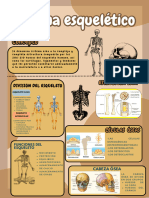 GRUPO 1 Sistema Esquelético