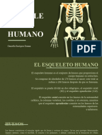 Esqueleto Humano Ded