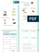 Y2 Autumn Block 1 WS4 Amphibians