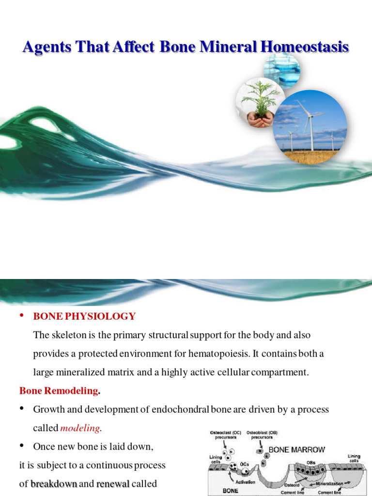 6.1 Agents That Affect Bone Mineral Homeostasis | PDF | Calcium In ...