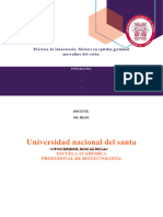 Practica Meiosis