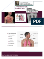 Aparato Respiratorio