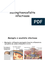 Meningoencefalite