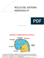 Desarrollo Del Sistema Nervioso II