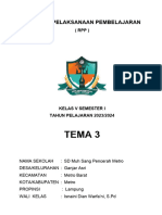 RPP Tema 3