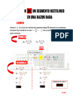 Division de Un Segmento