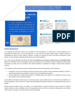 Abordaje de La Conducta Suicida y Autolesiva Basada en La Terapia Cognitivo Conductual 2