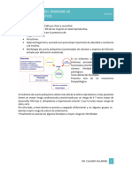 Clase 5. Fisiopatología Del SOP